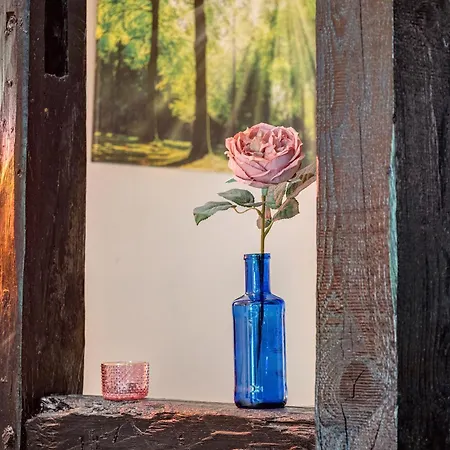 Wohnen Im Heidehaus * Sankt Dionys